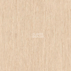 Линолеум Tarkett iq Optima Light Gold Beige 0247 фото 1 | FLOORDEALER